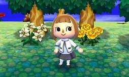 ꡼ No.004 | ˿ǥΤΥҥҥ硼 204ֹ 