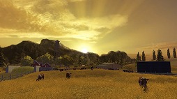 ꡼ No.006 | ˿ǥΤΥҥҥ硼 246̣Ǥ򤤤Τ򤤡