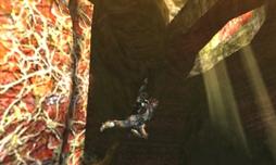 ꡼ No.013 | ˿ǥΤΥҥҥ硼 249夬 