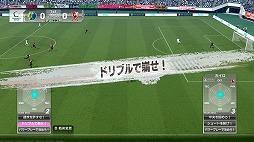 ꡼ No.009 | ˿ǥΤΥҥҥ硼 250֥