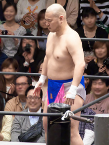 ꡼ No.002Υͥ / ˿ǥΤΥҥҥ硼 332֥᥸㡼ȥǥκ