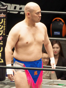 ꡼ No.003Υͥ / ˿ǥΤΥҥҥ硼 332֥᥸㡼ȥǥκ