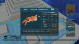 ꡼ No.010Υͥ / ˿ǥΤΥҥҥ硼 417ǺäƤʤäƿʹ֤Ρ