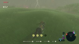 ꡼ No.009 | ˿ǥΤΥҥҥ硼 421Ƥ̴ϳ𤦡