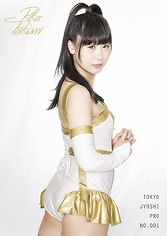 ���������꡼ No.041�Υ���ͥ������ / �˿��ǥ����ΤΥ�����ҥҥ硼 ��������448���TGS�ǹԤ��ץ��쥹�θ��ɤ���������