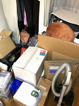 ���������꡼ No.004�Υ���ͥ������ / �˿��ǥ����ΤΥ�����ҥҥ硼 ��������459����㤨�Ƥʤ���