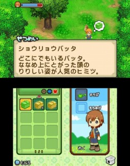 ꡼ No.008Υͥ / ˿ǥΤΥҥҥ硼 464֥󥹥ѥϡ