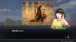 ꡼ No.005 | ˿ǥΤΥҥҥ硼 527ֹάWinning Post 9١