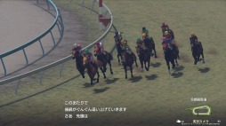 ꡼ No.006 | ˿ǥΤΥҥҥ硼 527ֹάWinning Post 9١