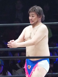 ꡼ No.002Υͥ / ˿ǥΤΥҥҥ硼 529֡Stadia٤ΤȤʬʤ