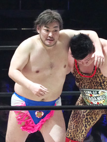 ���������꡼ No.002�Υ���ͥ������ / �˿��ǥ����ΤΥ�����ҥҥ硼 ��������530��������򤤤��˴������뤫��