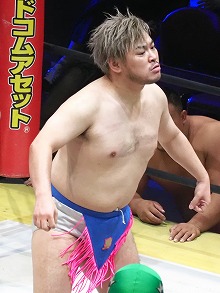 ���������꡼ No.002�Υ���ͥ������ / �˿��ǥ����ΤΥ�����ҥҥ硼 ��������558��֥��������եȤϳ��Τ����߾Ƥ�����