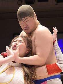 ���������꡼ No.002�Υ���ͥ������ / �˿��ǥ����ΤΥ�����ҥҥ硼 ��������599��ֲ���������ɾ���������إ᥿��ޥå������� ��ܡ���١�