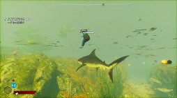 ꡼ No.009Υͥ / ˿ǥΤΥҥҥ硼 616֡Maneater٤򥯥ꥢޤ