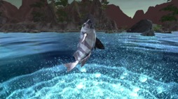 ꡼ No.007 | ˿ǥΤΥҥҥ硼 629ֿͤΰݤ˻ĤΤϰɽͤ줿