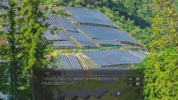 ꡼ No.008 | ˿ǥΤΥҥҥ硼 641֥Ǿ򴶤