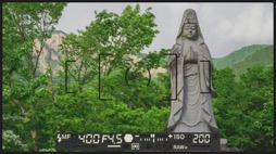 ꡼ No.009 | ˿ǥΤΥҥҥ硼 641֥Ǿ򴶤