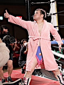 ꡼ No.011Υͥ / ˿ǥΤΥҥҥ硼 650֥ץ쥹ȡؤ櫓롡ᥤ  ꥪ٤Ϸиʪ