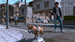 ꡼ No.010 | ˿ǥΤΥҥҥ硼 655֡LOST JUDGMENT٤Ԥʤʤ