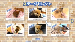 画像ギャラリー No.008のサムネイル画像 / 男色ディーノのゲイムヒヒョー ゼロ:第656回「柴犬のひなが可愛い」