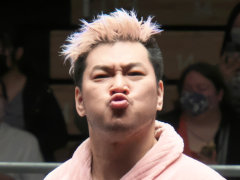 ˿ǥΤΥҥҥ硼 682β󤬸ƤΤ