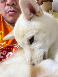 ���������꡼ No.003�Υ���ͥ������ / �˿��ǥ����ΤΥ�����ҥҥ硼 ��������704��ֽ񤤤Ƥ⤤�ʤ��ܤ�ȯ������ȯ�䵭ǰ����������ȯɽ������ݤ��ˤĤ��ơ�