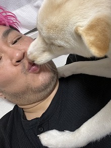 画像ギャラリー No.012のサムネイル画像 / 男色ディーノのゲイムヒヒョー ゼロ:第714回「『ハーヴェステラ』という挑戦」