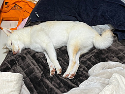 画像ギャラリー No.002のサムネイル画像 / 男色ディーノのゲイムヒヒョー ゼロ:第722回「相手のことを分かろうとする心」