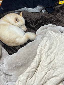 画像ギャラリー No.003のサムネイル画像 / 男色ディーノのゲイムヒヒョー ゼロ:第722回「相手のことを分かろうとする心」