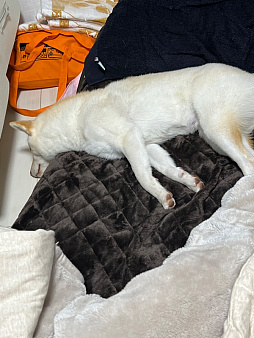 画像ギャラリー No.004のサムネイル画像 / 男色ディーノのゲイムヒヒョー ゼロ:第722回「相手のことを分かろうとする心」