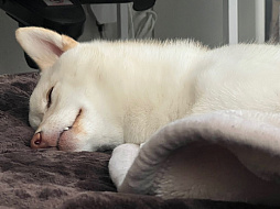 画像ギャラリー No.005のサムネイル画像 / 男色ディーノのゲイムヒヒョー ゼロ:第722回「相手のことを分かろうとする心」