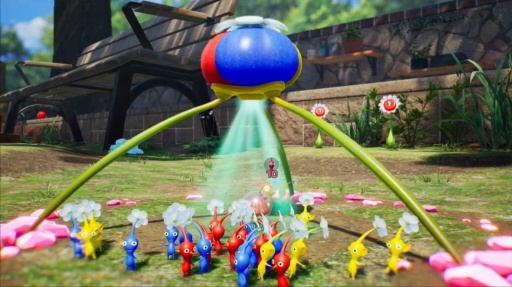 ꡼ No.013Υͥ / ˿ǥΤΥҥҥ硼 746̾繻ι̤ι⹻Υɤ֤äá