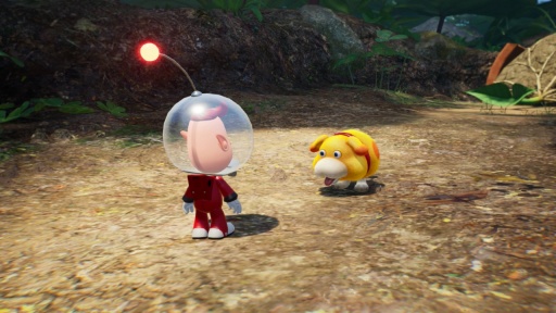 ꡼ No.015Υͥ / ˿ǥΤΥҥҥ硼 746̾繻ι̤ι⹻Υɤ֤äá