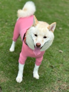 ꡼ No.003 | ˿ǥΤΥҥҥ硼 789ֿʹ֡ѤäƤ