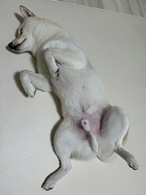 ꡼ No.008 | ˿ǥΤΥҥҥ硼 789ֿʹ֡ѤäƤ