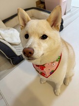 ꡼ No.009 | ˿ǥΤΥҥҥ硼 789ֿʹ֡ѤäƤ