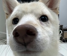 ꡼ No.014 | ˿ǥΤΥҥҥ硼 789ֿʹ֡ѤäƤ