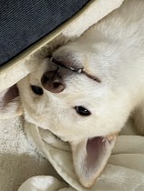 ꡼ No.018 | ˿ǥΤΥҥҥ硼 789ֿʹ֡ѤäƤ