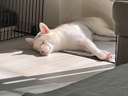 ꡼ No.020 | ˿ǥΤΥҥҥ硼 789ֿʹ֡ѤäƤ