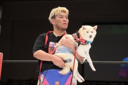 画像ギャラリー No.006のサムネイル画像 / 男色ディーノのゲイムヒヒョー ゼロ:第811回「ゲイムに向き合わなきゃいけない時間」