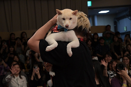 画像ギャラリー No.007のサムネイル画像 / 男色ディーノのゲイムヒヒョー ゼロ:第811回「ゲイムに向き合わなきゃいけない時間」