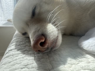 画像ギャラリー No.004のサムネイル画像 / 男色ディーノのゲイムヒヒョー ゼロ:第827回「自分の選択に自信を持て」