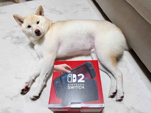 画像ギャラリー No.008のサムネイル画像 / 男色ディーノのゲイムヒヒョー ゼロ:第844回「買えました。そして負けました」