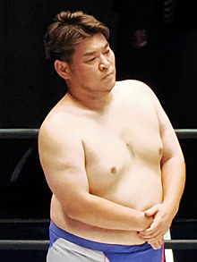 ���������꡼ No.003�Υ���ͥ������ / �˿��ǥ����ΤΥ�����ҥҥ硼 ��������860��֥�����������Ȥ�����