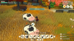 ���������꡼ No.009�Υ���ͥ������ / �˿��ǥ����ΤΥ�����ҥҥ硼 ��������860��֥�����������Ȥ�����