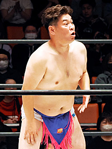 ꡼ No.002Υͥ / ˿ǥΤΥҥҥ硼 867ֻȿݴĤƱǺߤƤ