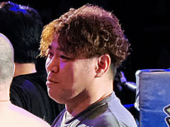 �˿��ǥ����ΤΥ�����ҥҥ硼 ��������882��֤����ȿ������Ƥ����