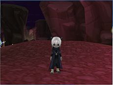 ꡼ No.012 | CocoloaʥˡסȿƷ2ܤγѤħŪʿ²²פ822緿åץǡȤǼ