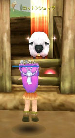 ꡼ No.010Υͥ / Cocoloaʥˡ1128˥åץǡȤ»ܡֲ²ƥס쥷ƥפʤɿǤ¿