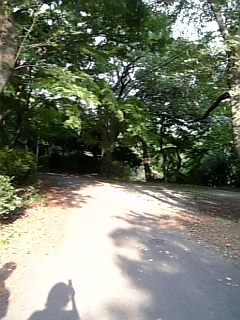 画像集#002のサムネイル/大網亜矢乃の構成要素:第12回「夢つき兎」(前編)